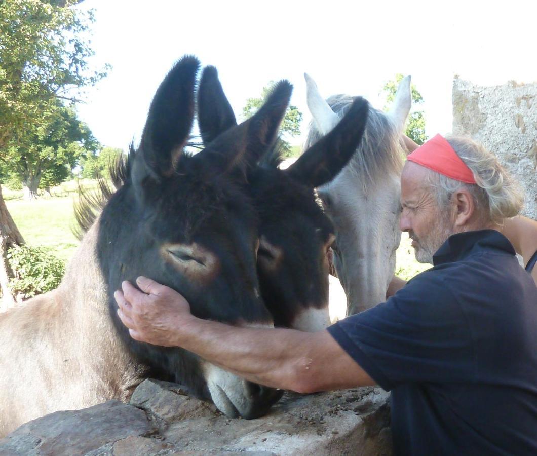 Le Dorat La Ferme De Pomereix מראה חיצוני תמונה